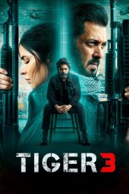 Tiger 3 Free Watch Online & Download