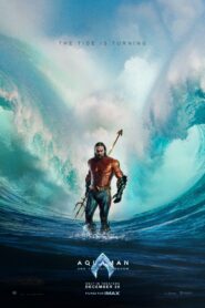 Aquaman and the Lost Kingdom Free Watch Online & Download